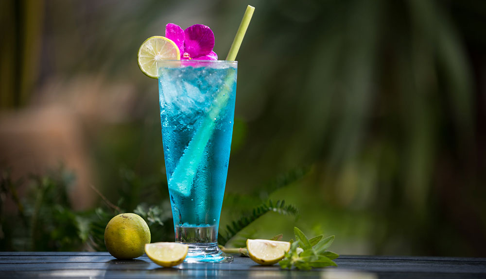 Urban Tree Hut Restaurant in Siem Reap